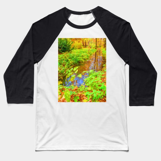 ditch in the park, painting, oil painting, nature Baseball T-Shirt by Hujer